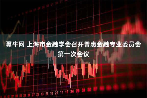 翼牛网 上海市金融学会召开普惠金融专业委员会第一次会议