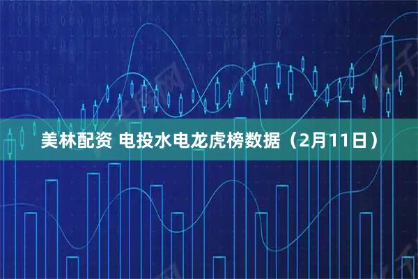 美林配资 电投水电龙虎榜数据（2月11日）