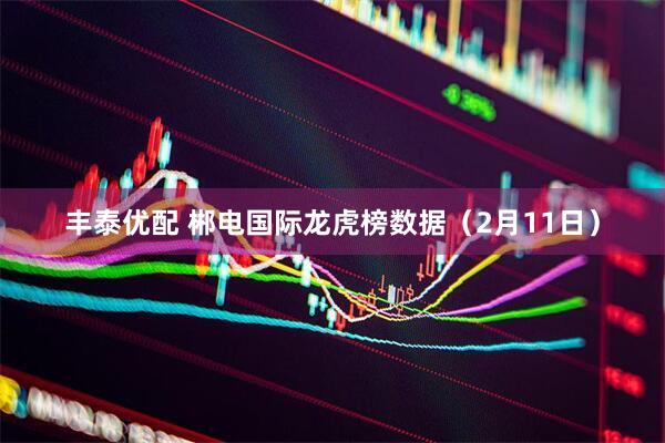 丰泰优配 郴电国际龙虎榜数据（2月11日）